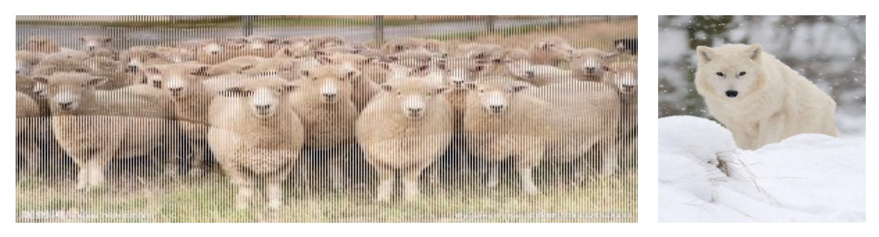 Two images are shown, the left shows the original attack image, which depicts a group of sheep. The right shows the scaled down attack image, which shows a grey wolf.